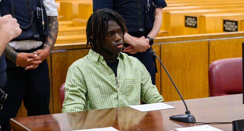 Top male model strikes pose in court over $1m Soho clothing theft