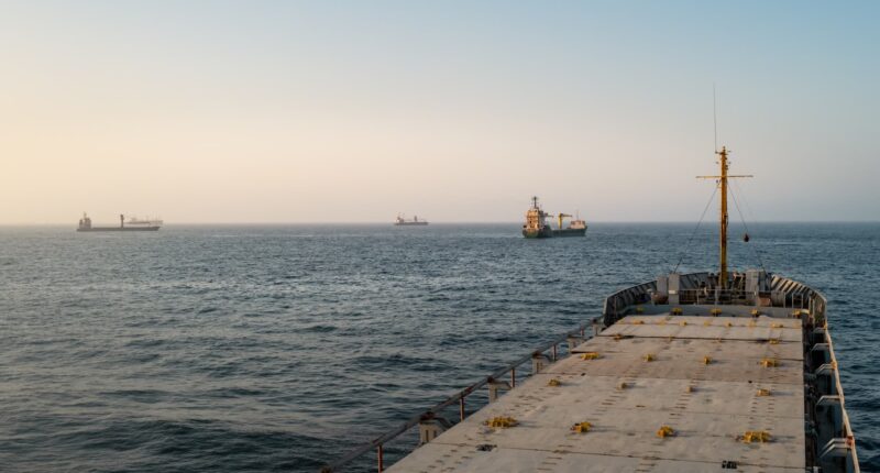 Traffic rebounds in Strait of Hormuz but anxiety threatens recovery