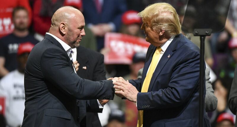 Truth about Donald Trump's friendship with Dana White reveal