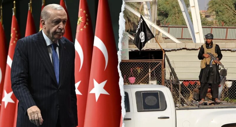 Turkey detains over 200 suspects, including alleged ISIS militants, in sweeping raid ahead of NATO summit