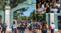 UC Berkeley students flunk intro course at shocking rates due to AI