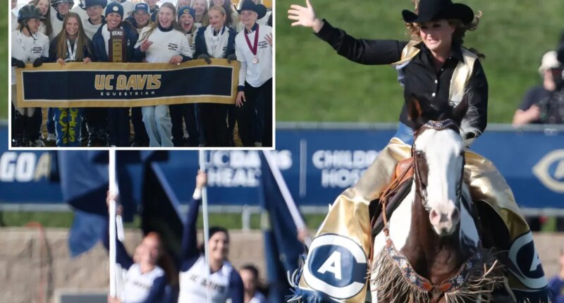 UC Davis cuts entire equestrian team — then furious parents investigated
