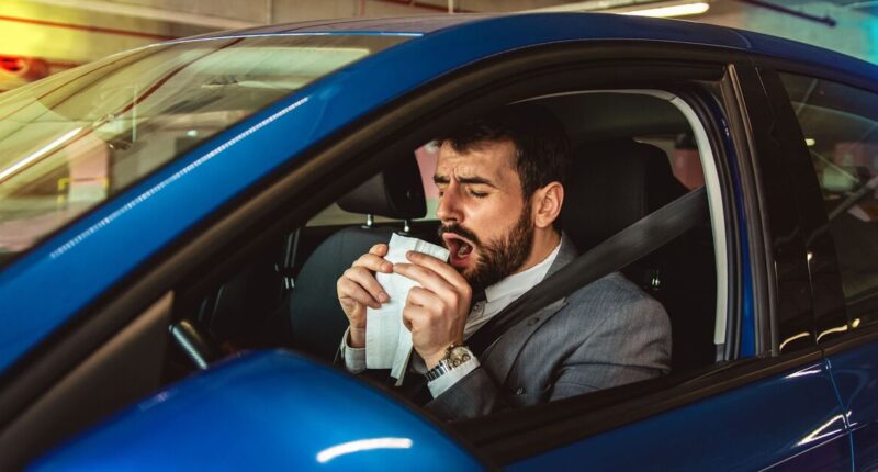 UK drivers issued ‘pollen bomb’ warning – £1,000 fine