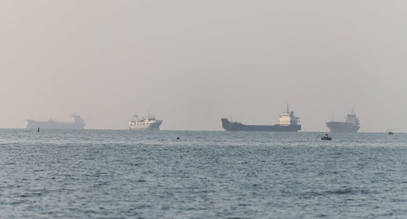 US Army helicopter goes down near Strait of Hormuz