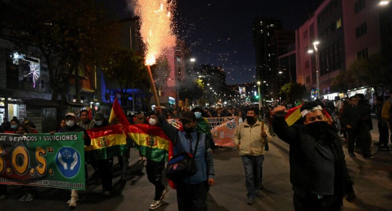 US, Shield of the Americas condemn 'ongoing efforts' to overthrow Bolivia's elected president amid unrest