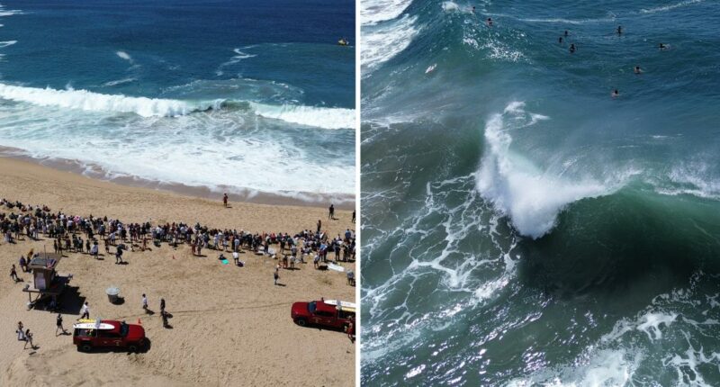Urgent disaster warning as king tides set to flood Newport Beach