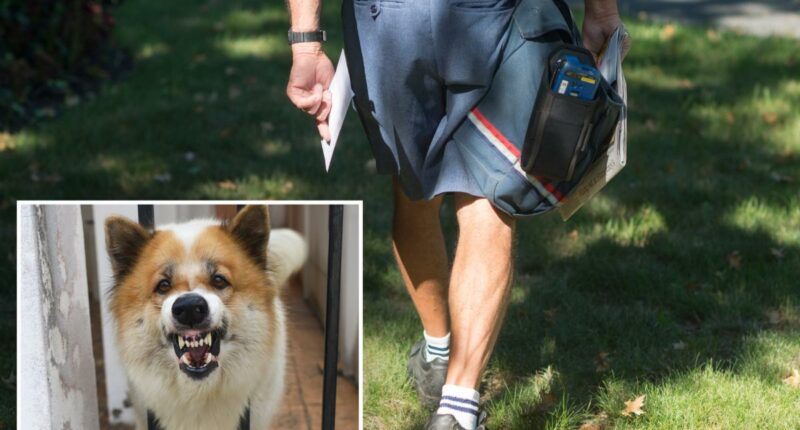 Urgent warning issued to pet owners after USPS reveals shocking number of dog attacks on mail carriers