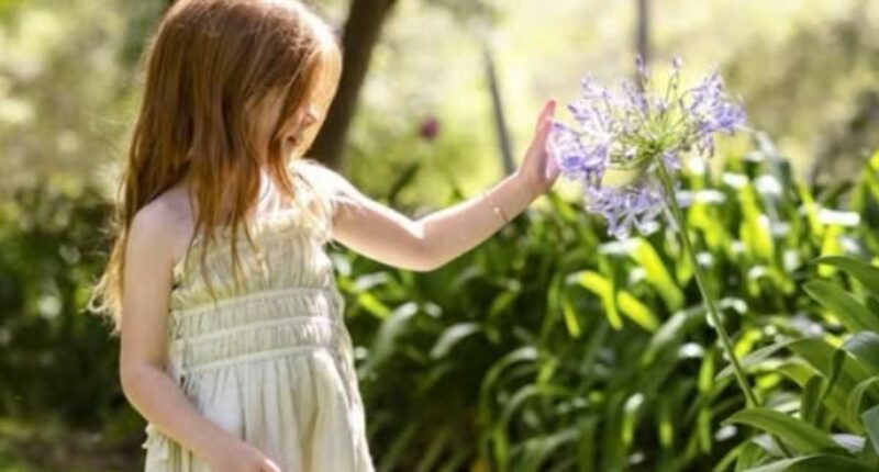 VANESSA TAIT: This photo of Lilibet means maybe Meghan got it right...