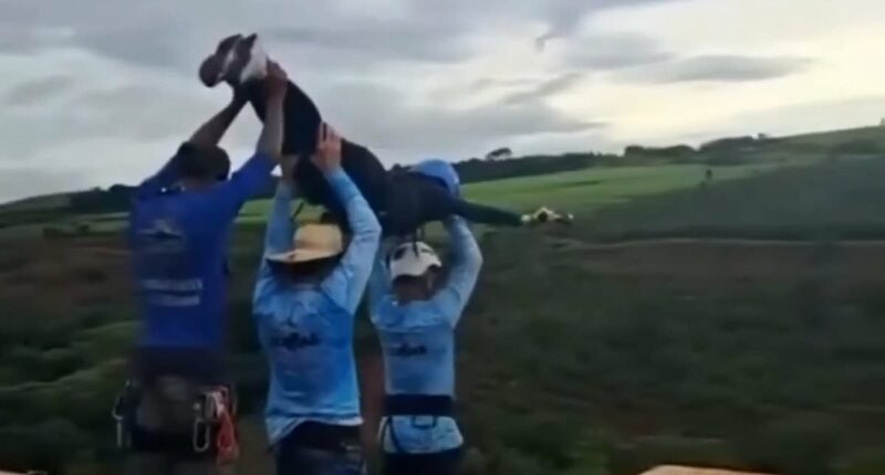 Video follows woman's plunge after bungee team threw her from bridge