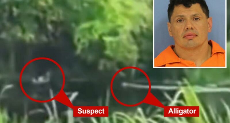 Video shows accused drunk driver run from cops -- and into the jaws of a gator