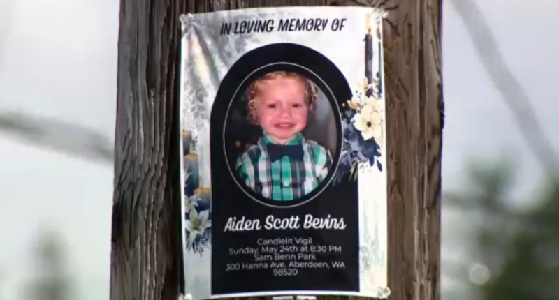 Washington father arrested after allegedly killing 4-year-old son and burying body under his house: reports