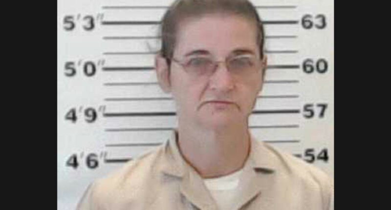 Witnesses Said a Man in a Fake Mustache Killed a Young Mom. The Shooter Wasn't Who Anyone Expected