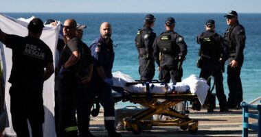 Woman airlifted to hospital with serious injuries after shark attack at popular Sydney beach