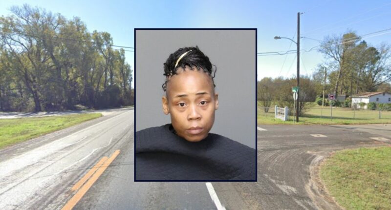 Woman charged in crash that left 7-year-old boy paralyzed
