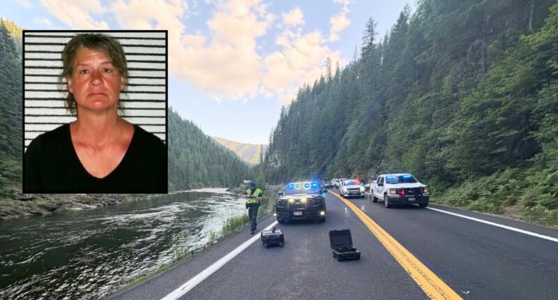 Woman mows down 3 motorcyclists in no-passing zone: Cops