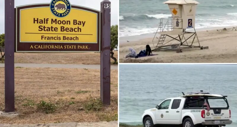 Woman run over by lifeguard vehicle at Half Moon Bay State Beach