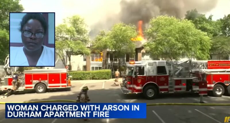 Woman showed no care for mom after she torched home: Cops