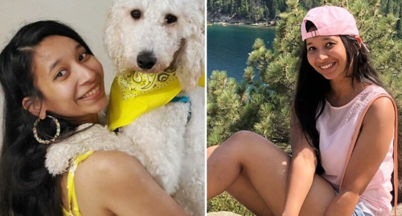 Woman survives Kentucky crash -- then is mowed down while chasing her dog on the highway