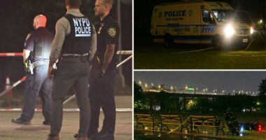 cops, sources