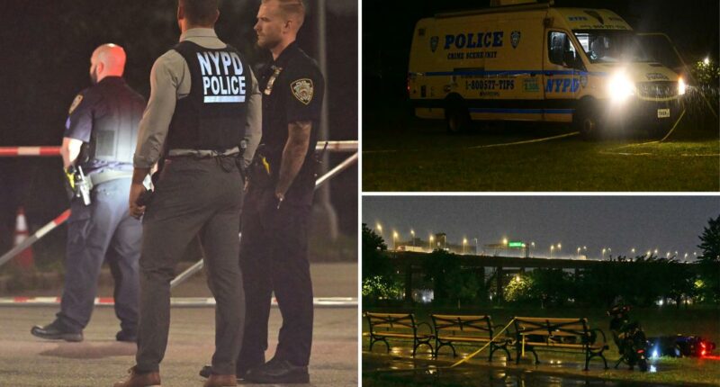Young man fatally stabbed during fight with violent crew on wheels inside NYC waterfront park: cops, sources