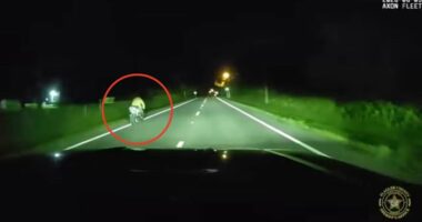 ’ Florida motorcyclist very slowly flees from deputy