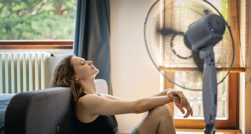 'European' method to cool your home in heatwave is total game-changer