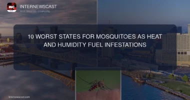 10 Worst States for Mosquitoes as Heat and Humidity Fuel Infestations - Internewscast Journal