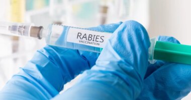 11-year-old dies from rabies after bat landed on his face while he was sleeping