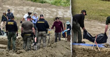 117 dead dogs found at animal rescue, many with gunshot wounds as investigators probe for answers