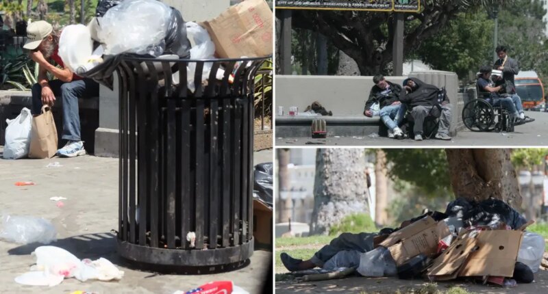 13M of pounds of trash and hazardous waste removed from MacArthur Park — as staggering extent of decline revealed