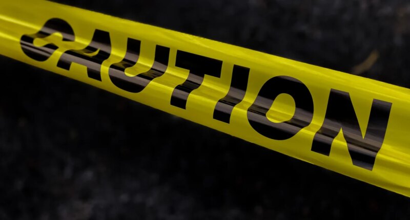 2 U.S. Forest Service workers safe after being kidnapped, held at gunpoint for hours in Northern California