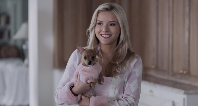 5 TV Shows To Watch If You Like Elle