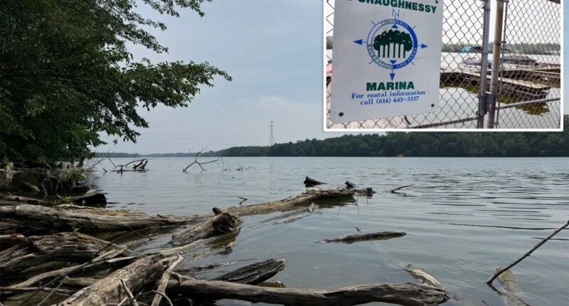 5 dead after two sets of parents rush into Ohio River to rescue struggling swimmer