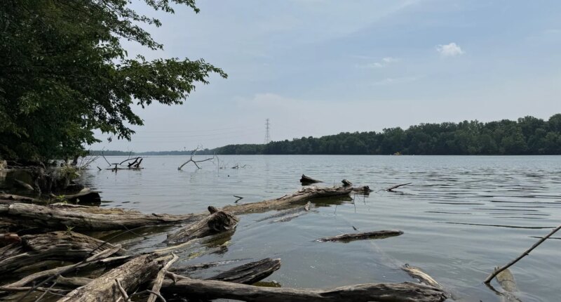 5 drown in Ohio's Scioto River as child runs for help