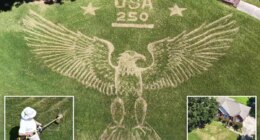 Alabama homeowner Ron Burkett creates most patriotic front lawn celebrating America 250 with bald eagle mural