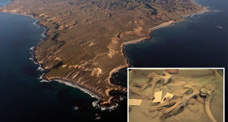 Ancient bones found off California coast could rewrite human history
