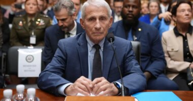 Anthony Fauci pleads the Fifth Amendment in Senate hearing