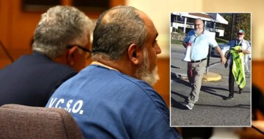 Anti-Israel demonstrator sentenced to year in jail for manslaughter during 2023 protests