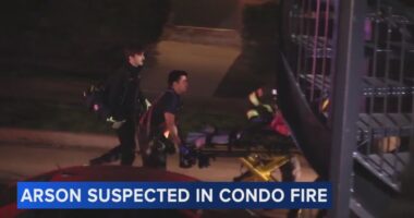 Arson suspect Taner Bayramli in Des Plaines condo fire on Harding Avenue that injured 8 has died, authorities say