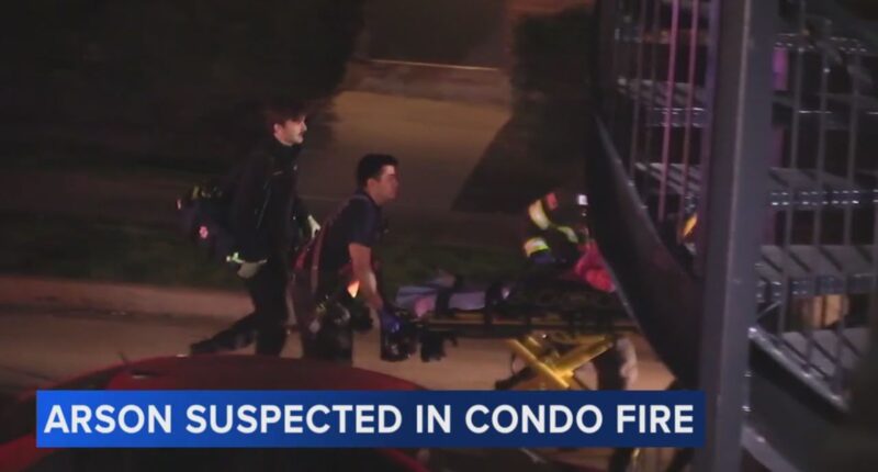 Arson suspect Taner Bayramli in Des Plaines condo fire on Harding Avenue that injured 8 has died, authorities say