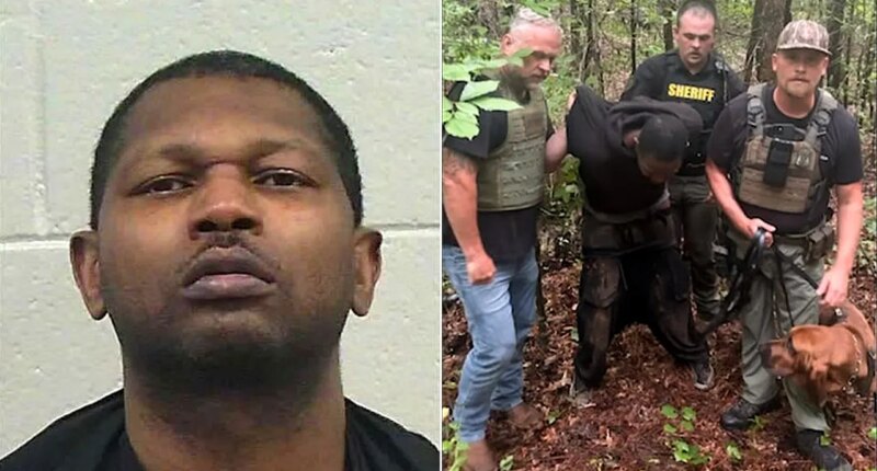 Bloodhound K-9 unit helps bring Georgia manhunt to end with arrest of suspect accused of shooting woman