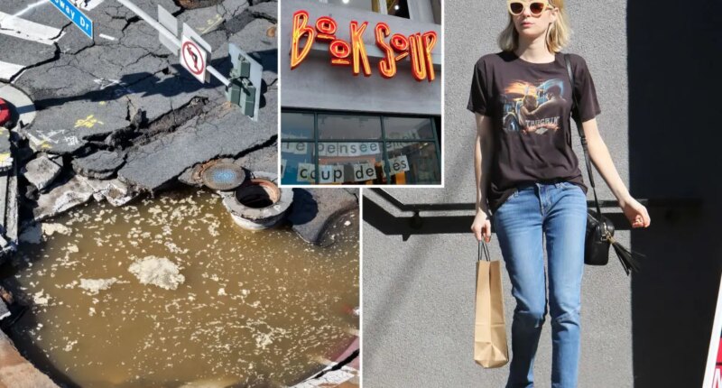 Book Soup in West Hollywood closed indefinitely after water main break