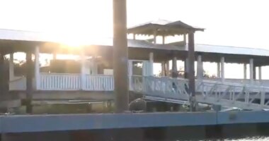 Boy attacked by shark in Georgia while fishing: reports