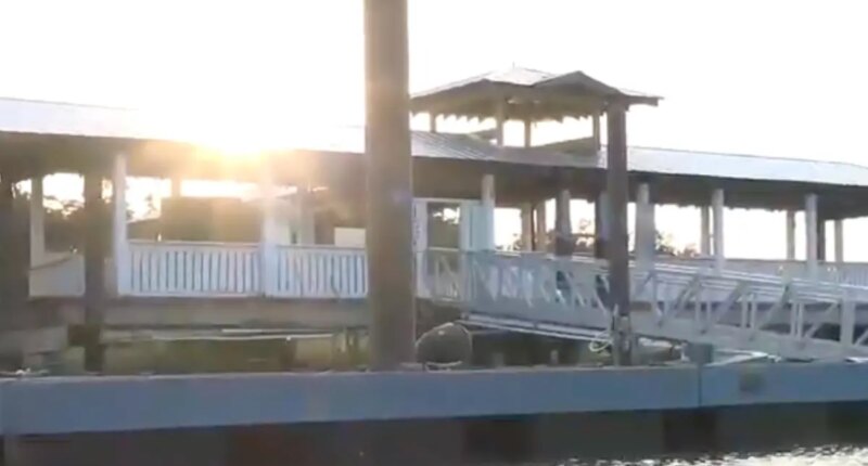 Boy attacked by shark in Georgia while fishing: reports