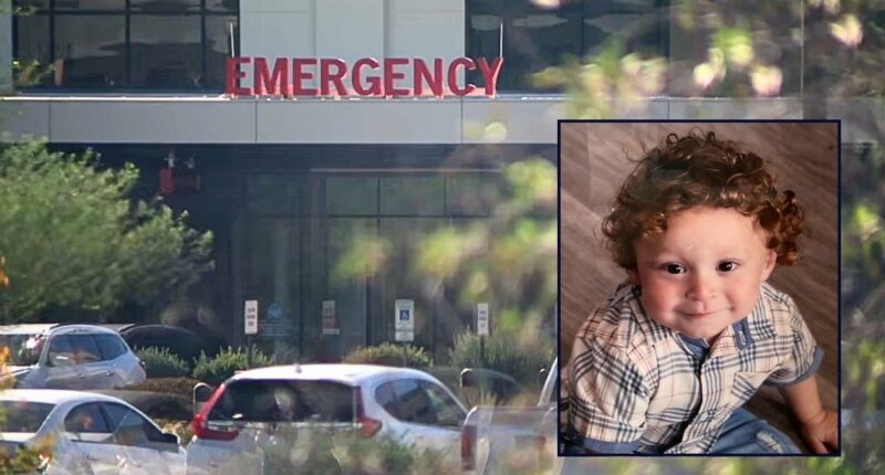 Boy drowned while parents partied, came back to life: Cops