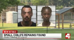 Missing Boy’s Remains Found in Woods After Father Kidnapped Him...
