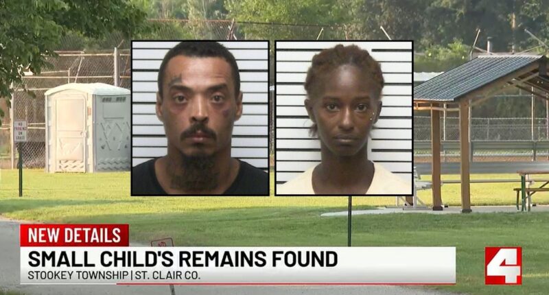 Boy's remains found in woods after dad kidnapped him: Police