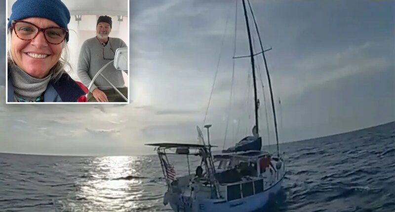 Brian Hooker's sailboat seized by US Coast Guard in dramatic bodycam video