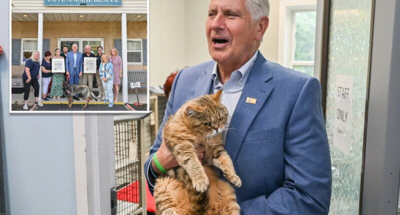 Bruce Blakeman calls for greater animal protections after 155 neglected cats, dogs rescued from LI hoarder's house of horrors