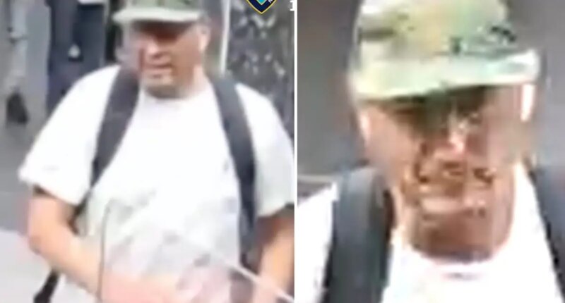 Brute punches straphanger, 65, in face inside NYC subway station in random assault
